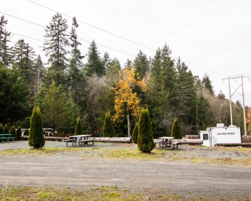 basic electric site at Elwha RV Park in Port Angeles WA