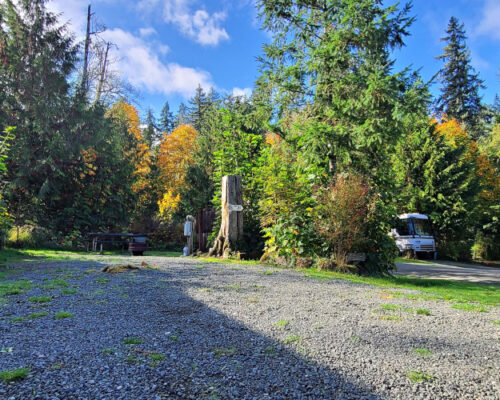 Standard BackIn RV Site at Elwha RV Park in Port Angeles WA